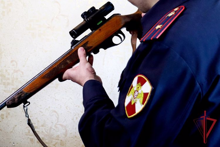 Росгвардия напоминает жителям Чукотки о порядке и размерах вознаграждения за добровольную сдачу незаконно хранящегося оружия  