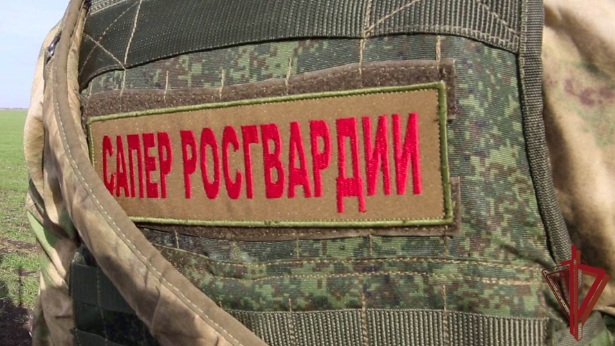Инженеры Росгвардии с начала СВО обезвредили более 320 тысяч взрывоопасных предметов
