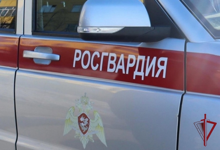 Росгвардия Чукотки разъясняет правила использования синих проблесковых маячков на служебных автомобилях